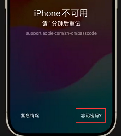 理塘苹果手机密码维修分享iPhone忘记了刚设置的密码 